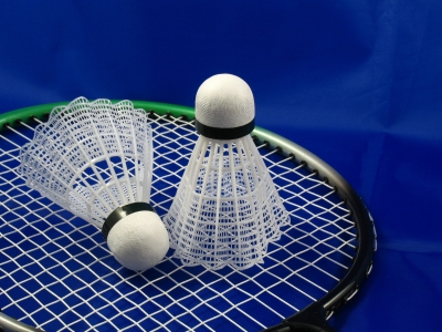 Badminton-estranky